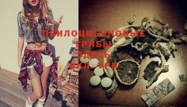 шишки Новоузенск