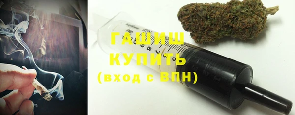 шишки Новоузенск