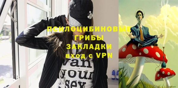 2c-b Богданович