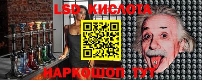 твердый Бийск