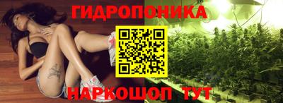 молекула духа Заводоуковск