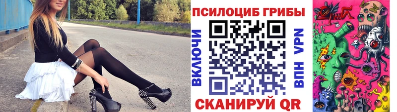 Галлюциногенные грибы Psilocybe  где купить   Орск 