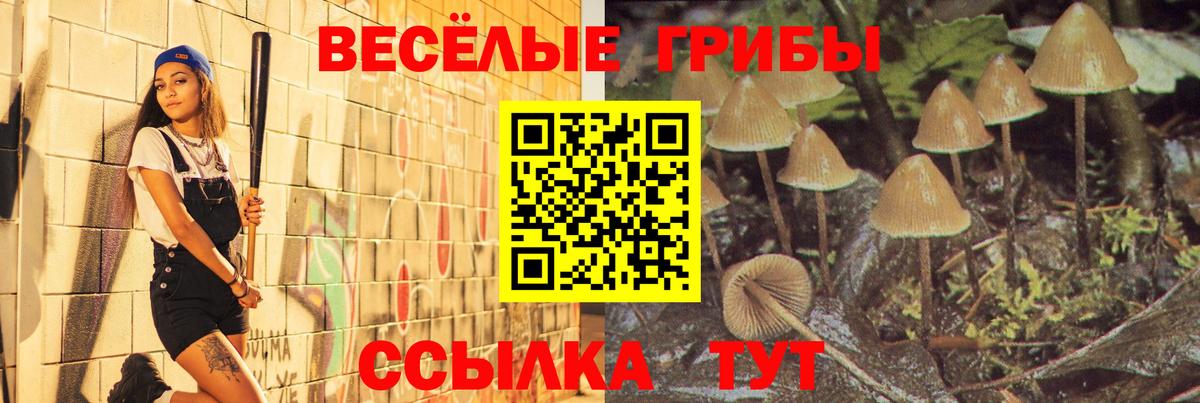 дарнет шоп  Вход с VPN  Орск  Псилоцибиновые грибы мицелий 