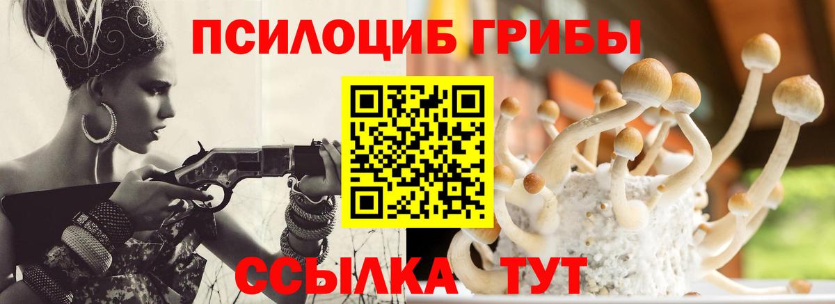 Псилоцибиновые грибы Magic Shrooms  купить закладку  Орск 