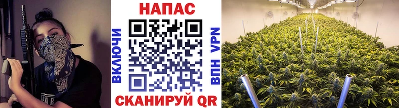 Бошки марихуана OG Kush  Орск 